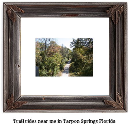 trail rides near me in Tarpon Springs, Florida